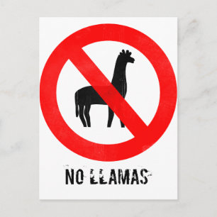Carte Postale Pas de lamas