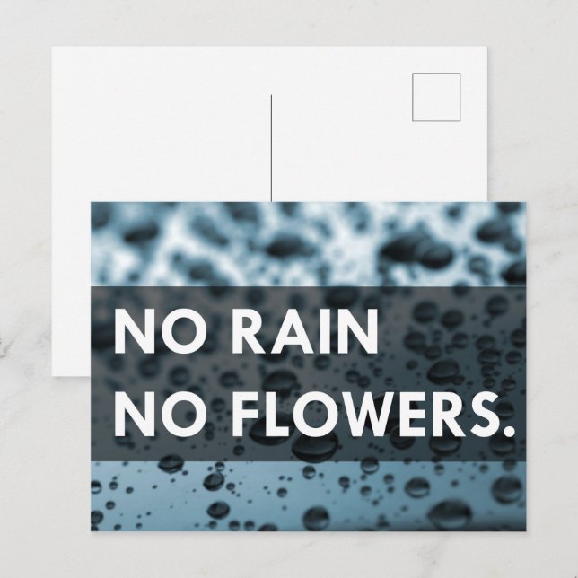 Carte Postale Pas de pluie ni de fleurs (Devant / Derrière)