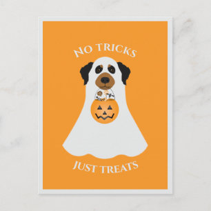Carte Postale Pas de tours, juste des friandises Halloween Chien