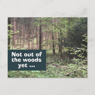 Carte Postale Pas encore sorti de la forêt Quarantaine dans la n
