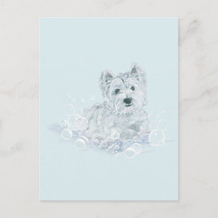 Carte Postale Pas un autre bain