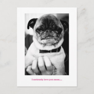 Carte Postale Pas un moment enthousiaste