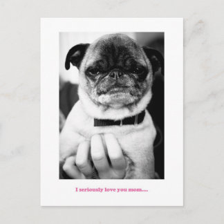 Carte Postale Pas un moment enthousiaste