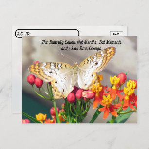 Carte Postale Passage à la frontière - Citation de papillon de p