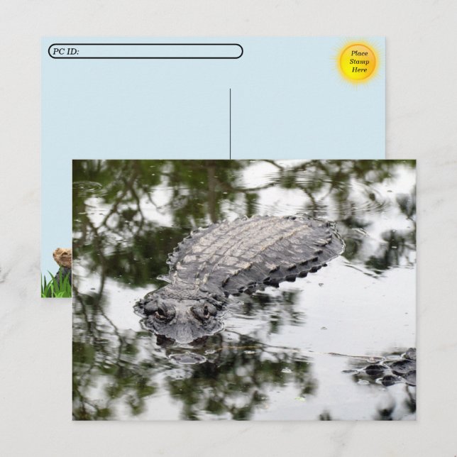 Carte Postale Passage à niveau - Réflexions de Gator dans le mar (Devant / Derrière)
