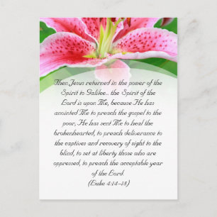 Carte Postale Passage de bible, lis rose