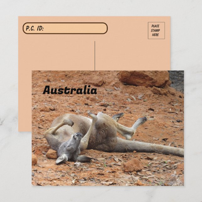 Carte Postale Passage de Kangaroo Rolling / Jeu (Devant / Derrière)