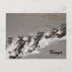 Carte Postale passage des abeilles sauvages