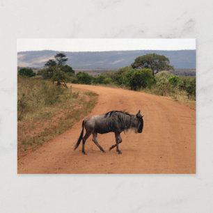 Carte Postale passage des abeilles sauvages
