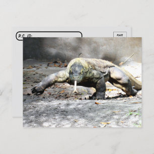 Carte Postale Passage - Komodo Dragon Venant Pour Vous