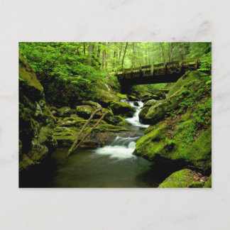 Carte Postale Passerelle au-dessus de la fourche rouverte