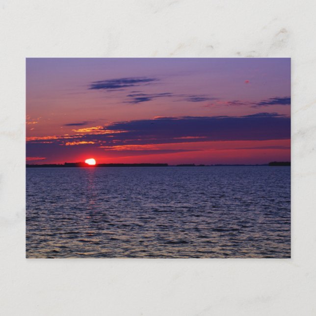 Carte Postale Passion violette (Devant)