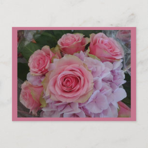 Carte Postale Pastel Rose et Hydrangea Flowers do-it-yourself Ca