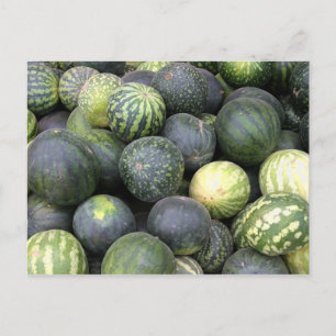 Carte Postale pastèque