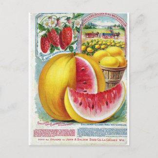 Carte Postale Pastèque de sel