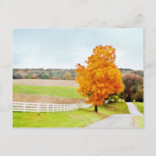 Carte Postale Pasture d'automne