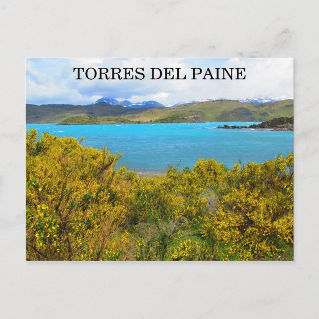 Carte Postale patagonie jaune (Devant)