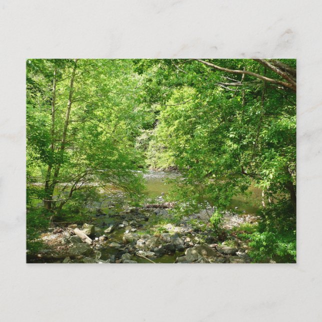 Carte Postale Patapsco River View Maryland Nature Photographie (Devant)