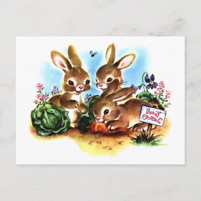 Carte Postale Patch Bunny (Devant)