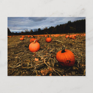 Carte Postale Patch Citrouille du Vermont