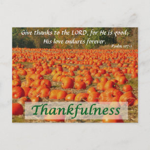 Carte Postale Patch citrouille - Gentillesse
