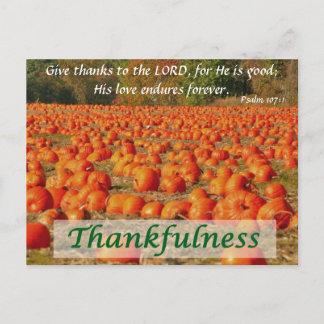 Carte Postale Patch citrouille - Gentillesse