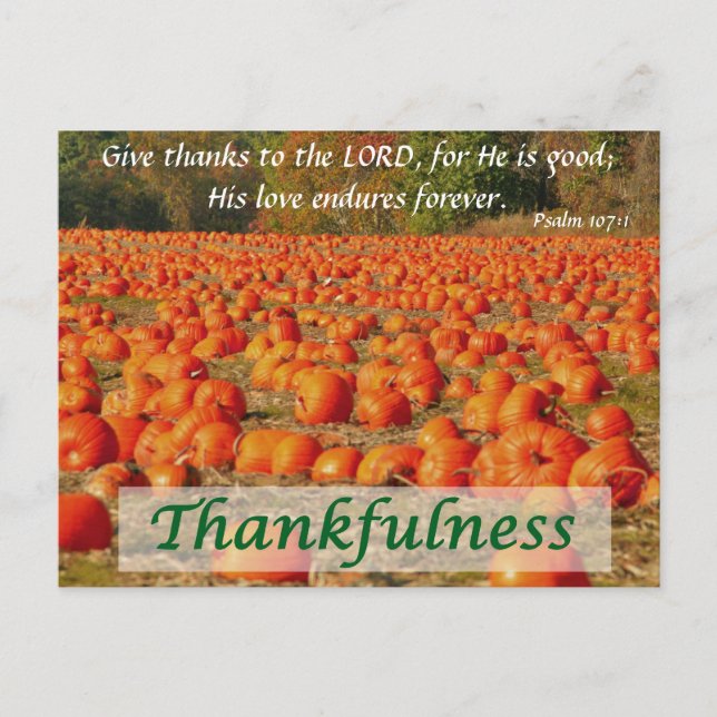 Carte Postale Patch citrouille - Gentillesse (Devant)