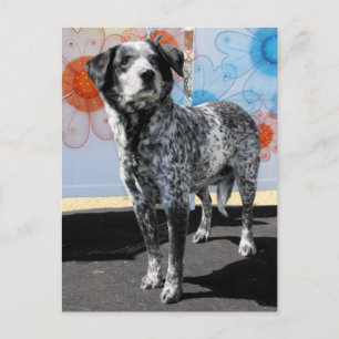 Carte Postale Patches - Pointeur Blue Tick -1