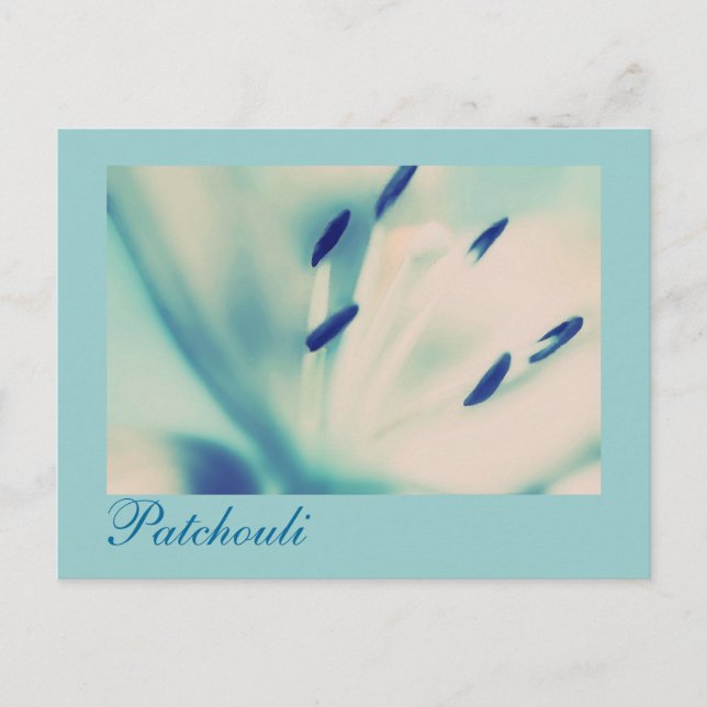 Carte postale Patchouli Lily Art numérique floral (Devant)