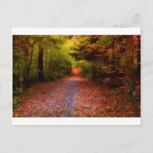 Carte Postale Paths en Nature