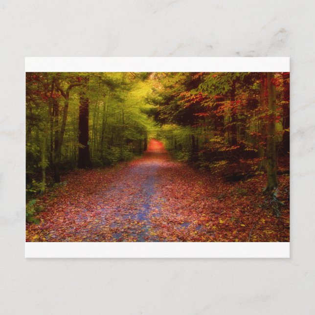 Carte Postale Paths en Nature (Devant)