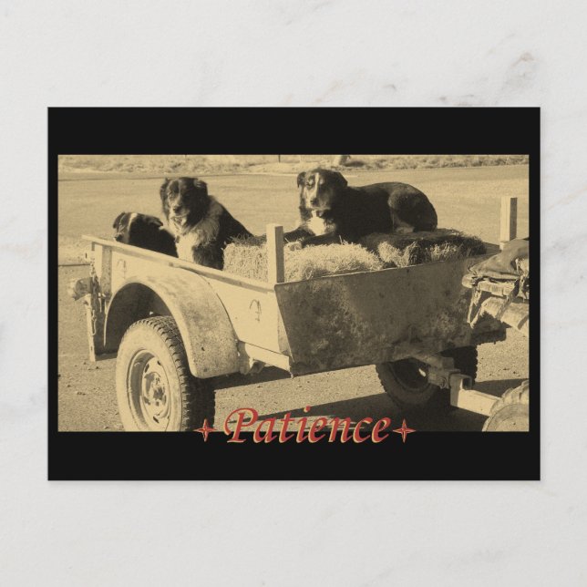 Carte Postale Patiemment en attente (Devant)