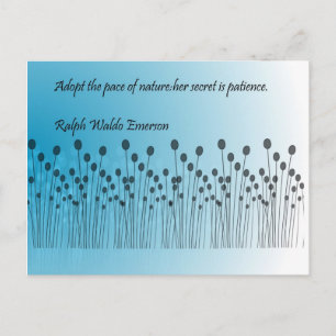 Carte Postale Patience