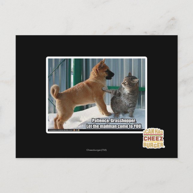 Carte Postale Patience, sauterelle. (Devant)