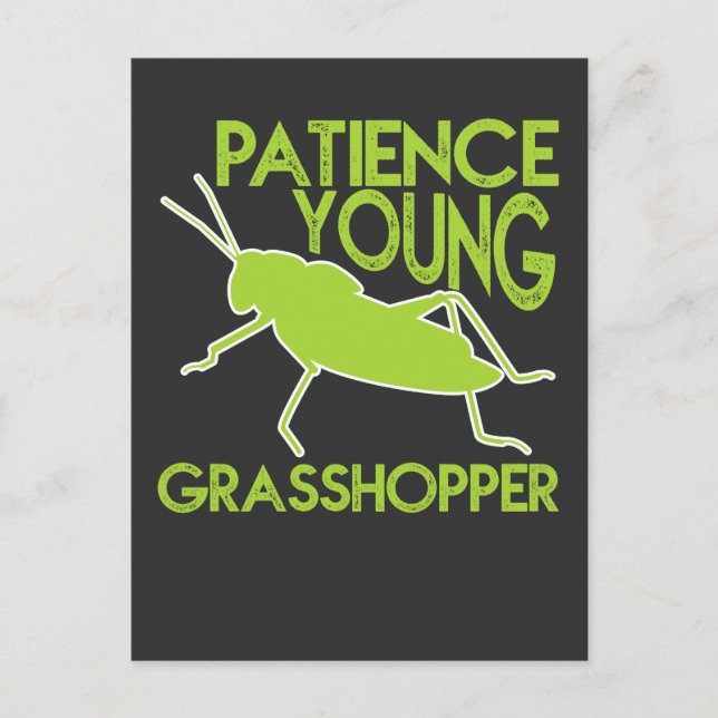 Carte Postale Patience Young Grasshopper Amusante nouveauté (Devant)