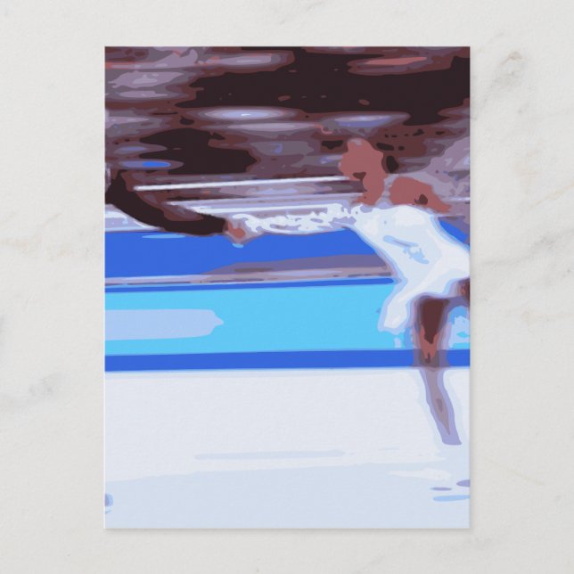 Carte Postale Patinage artistique (Devant)