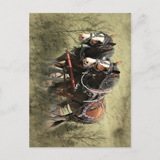 Carte postale Patiné vintage Clydesdale (Devant)