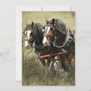 Carte postale Patiné vintage Clydesdale