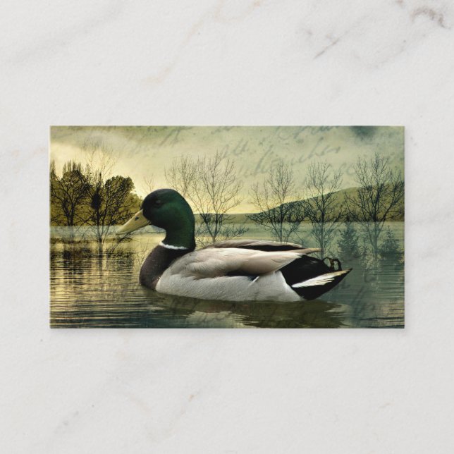 Carte postale Patinée vintage Mallard Duck (Devant)