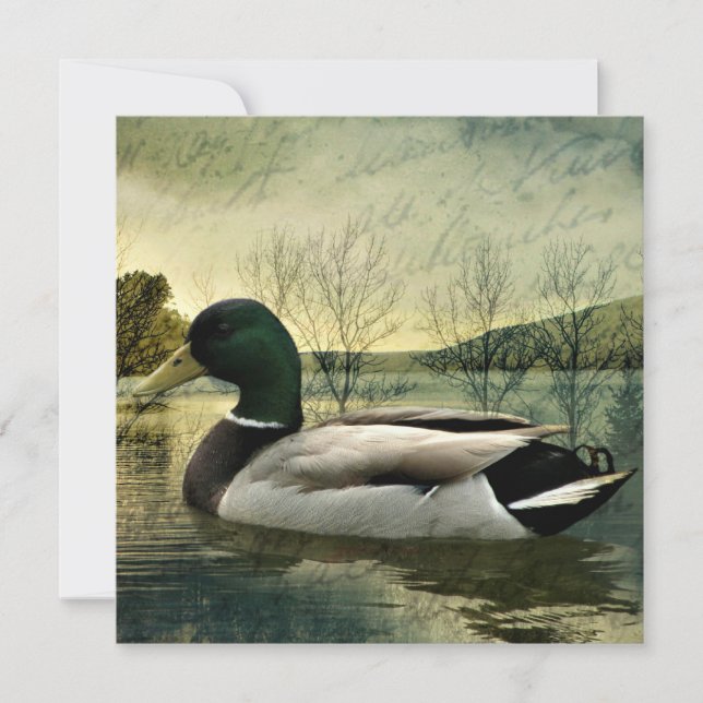 Carte postale Patinée vintage Mallard Duck (Devant)