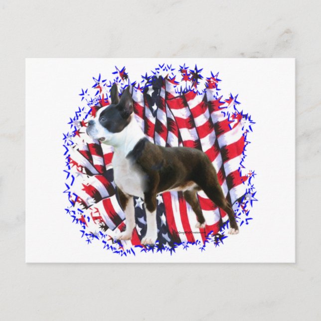 Carte Postale Patriot de Boston Terrier (Devant)