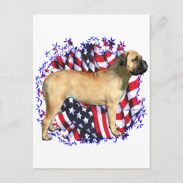 Carte Postale Patriote Bullmastiff (Devant)