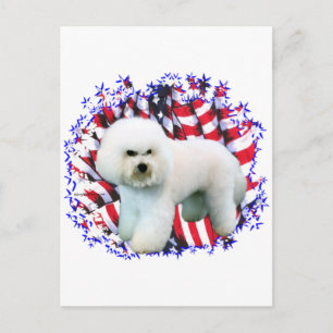 Carte Postale Patriote de Bichon Frise