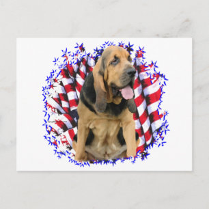 Carte Postale Patriote de Bloodhound
