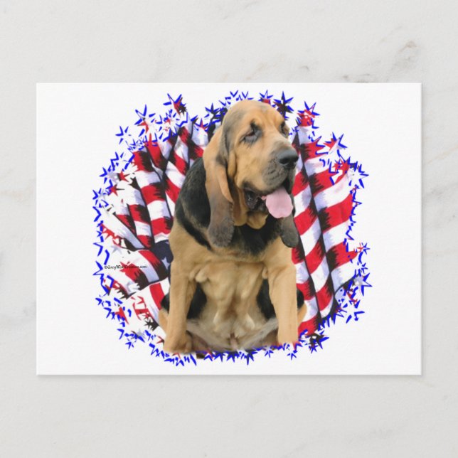 Carte Postale Patriote de Bloodhound (Devant)