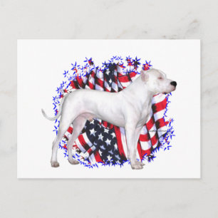 Carte Postale Patriote Dogo Argentino