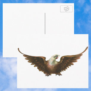 Carte Postale Patriotisme Vintage Aigle américain oiseau en vol