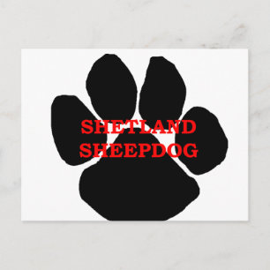 Carte Postale patte de nom de chien de mouton shetland