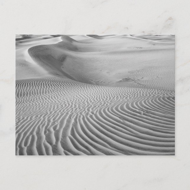 Carte Postale Patterns In The Sand Dunes (Devant)