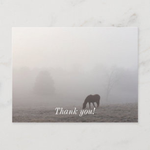 Carte Postale Pâturage brumeux